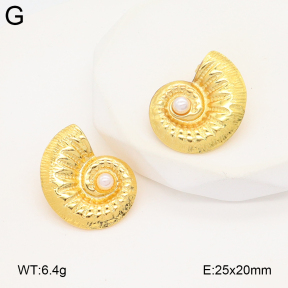 2E3003925vail-475  Stainless Steel Earrings