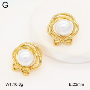 2E3003926vail-475  Stainless Steel Earrings