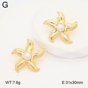 2E3003927vail-475  Stainless Steel Earrings