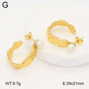 2E3003928aakl-475  Stainless Steel Earrings