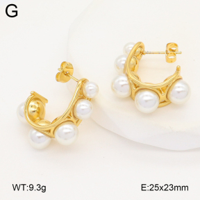 2E3003929vbmb-475  Stainless Steel Earrings