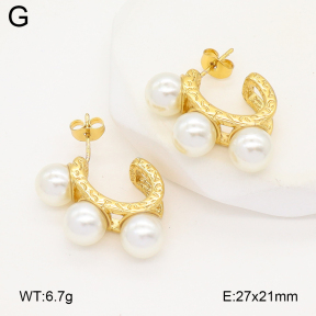 2E3003930vbll-475  Stainless Steel Earrings