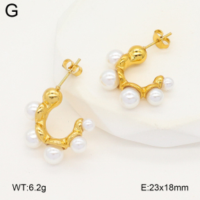 2E3003932ablb-475  Stainless Steel Earrings