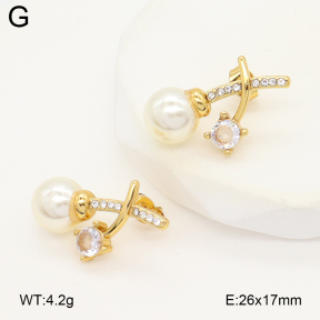 2E3003933ablb-475  Stainless Steel Earrings