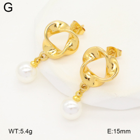 2E3003934aakl-475  Stainless Steel Earrings