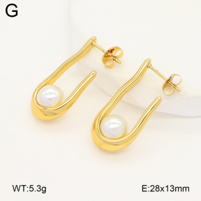 2E3003935aakl-475  Stainless Steel Earrings