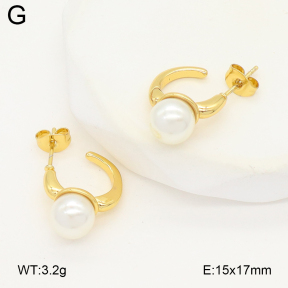 2E3003936baka-475  Stainless Steel Earrings