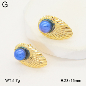 2E3003937vail-475  Stainless Steel Earrings