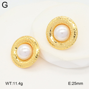 2E3003938vail-475  Stainless Steel Earrings