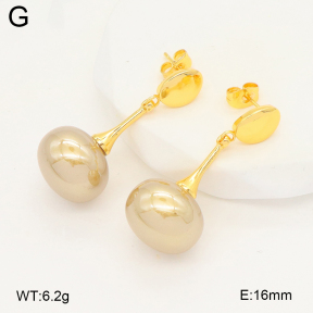 2E3003940vbmb-703  Stainless Steel Earrings