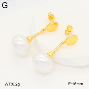 2E3003942vbmb-703  Stainless Steel Earrings