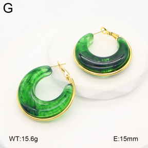 2E4004877aakl-475  Stainless Steel Earrings