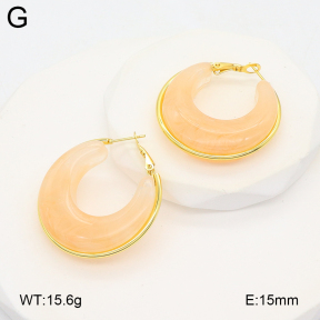 2E4004878aakl-475  Stainless Steel Earrings