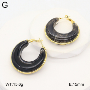 2E4004879aakl-475  Stainless Steel Earrings