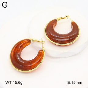 2E4004880aakl-475  Stainless Steel Earrings