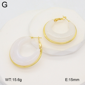 2E4004881aakl-475  Stainless Steel Earrings