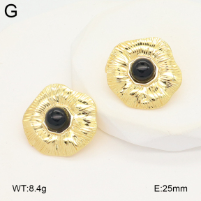 2E4004883vail-475  Stainless Steel Earrings