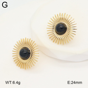 2E4004884vail-475  Stainless Steel Earrings