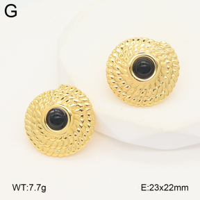 2E4004885vail-475  Stainless Steel Earrings