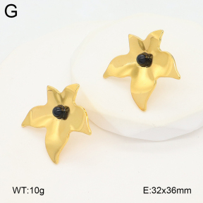 2E4004886vail-475  Stainless Steel Earrings