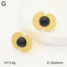 2E4004887vail-475  Stainless Steel Earrings