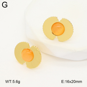 2E4004888vail-475  Stainless Steel Earrings