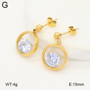 2E4004889aajl-475  Stainless Steel Earrings