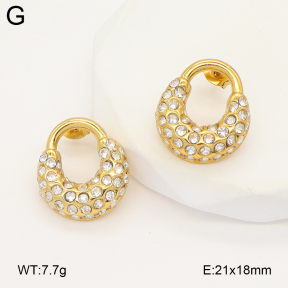 2E4004890ablb-475  Stainless Steel Earrings