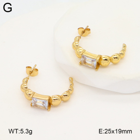 2E4004892baka-475  Stainless Steel Earrings