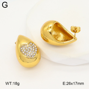 2E4004893abol-475  Stainless Steel Earrings