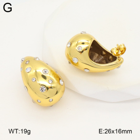 2E4004894vbmb-475  Stainless Steel Earrings