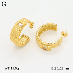 2E4004895aakl-475  Stainless Steel Earrings