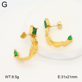 2E4004896aakl-475  Stainless Steel Earrings