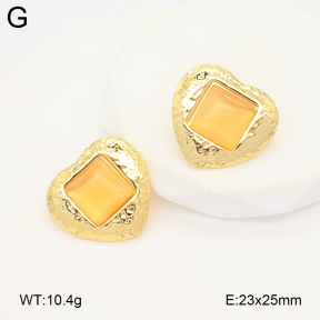 2E4004897vail-475  Stainless Steel Earrings