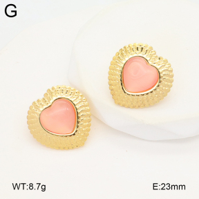 2E4004898vail-475  Stainless Steel Earrings