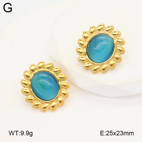 2E4004899vail-475  Stainless Steel Earrings