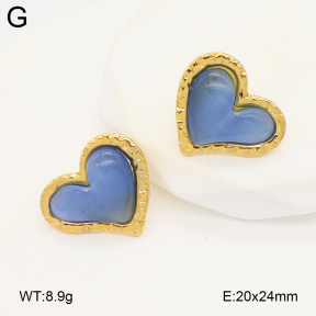 2E4004900vail-475  Stainless Steel Earrings