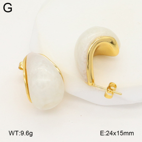 2E4004901vbnl-475  Stainless Steel Earrings