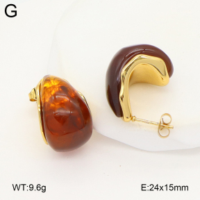 2E4004902vbnl-475  Stainless Steel Earrings