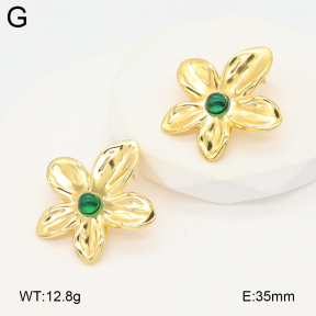 2E4004903vail-475  Stainless Steel Earrings