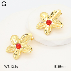 2E4004904vail-475  Stainless Steel Earrings