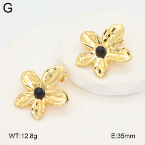 2E4004905vail-475  Stainless Steel Earrings