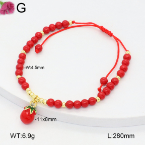 F2B800101baka-J198  Fashion Bracelet