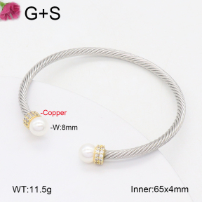 F2BA30104vbpb-J198  Fashion Copper Bangle