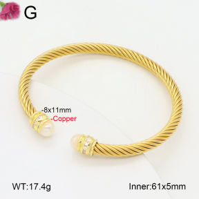 F2BA30105bhia-J198  Fashion Copper Bangle