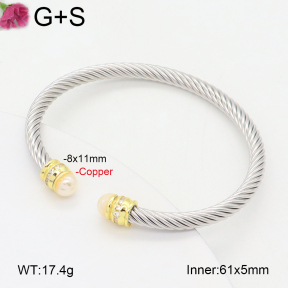 F2BA30106bhva-J198  Fashion Copper Bangle