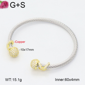 F2BA40888bhia-J198  Fashion Copper Bangle