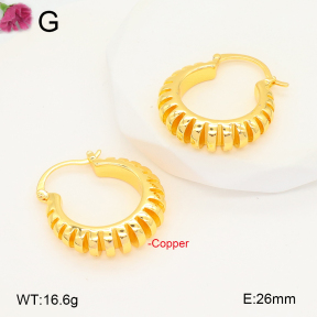 F2E202038vbnb-J131  Fashion Copper Earrings