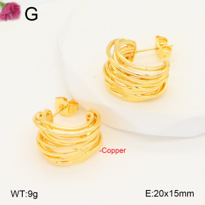 F2E202040vbnl-J131  Fashion Copper Earrings