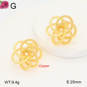 F2E202042bbov-J131  Fashion Copper Earrings